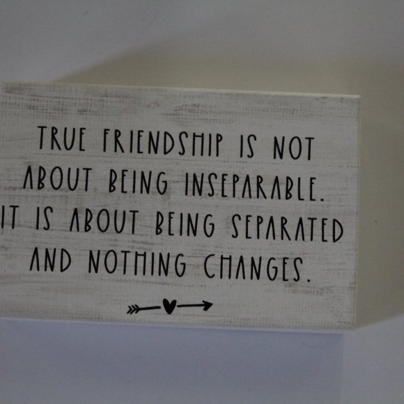 Sincere Surroundings “True Friendship” Wooden Block Sign - Picture 2 of 10